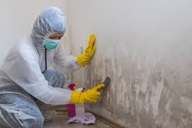 Best Mold Prevention Services  in Ridgeland, MS